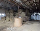 Kiadó telek/földterület Lakhegy 450 000 Ft