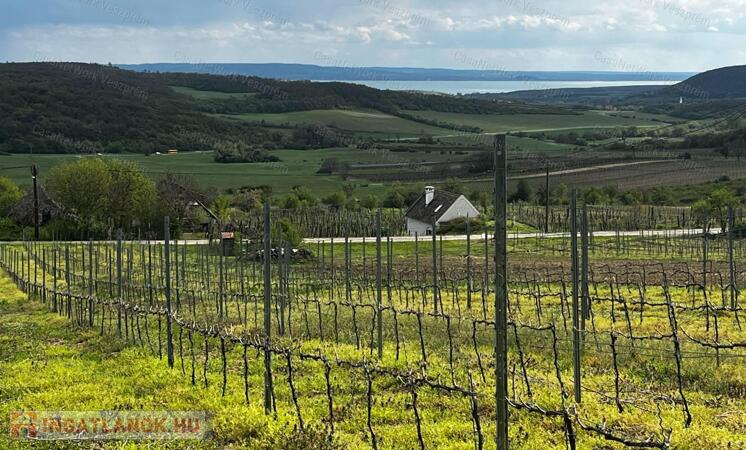 Óbudaváron ÖRÖK PANORÁMÁS zártkert eladó! 5107nm!