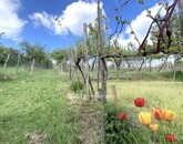 Eladó családi ház Zamárdi 170 000 000 Ft