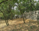 Eladó telek/földterület Pécs 9 900 000 Ft