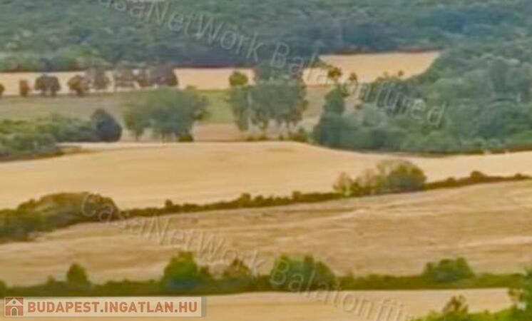 Minőségi panorámás szőlő birtok                                 