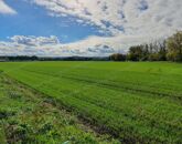 Eladó ipari ingatlan Győrújbarát 51 714 000 Ft