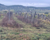 Eladó telek/földterület Zánka 24 951 000 Ft