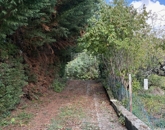 Eladó telek/földterület Szentendre 57 500 000 Ft