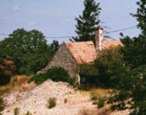 Eladó telek/földterület Pécsely 95 000 000 Ft