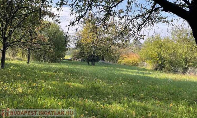 Gyönyörű panorámával eladó telek Oroszlány külterületén                                 