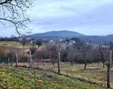 Eladó Mencshelyi zártkert!