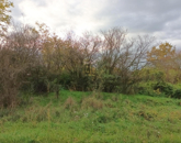 Eladó telek/földterület Türje 3 000 000 Ft