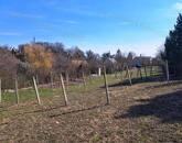 Szép kilátások - eladó beépíthető külterületi telek Balatonfüreden