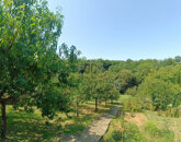 Eladó családi ház Nagykanizsa 49 900 000 Ft