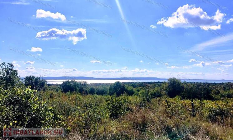 Dörgicsei mezőgazdasági terület az óriás tölgyfasor mentén
