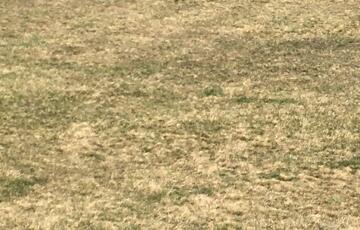 Eladó telek/földterület