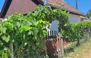 Eladó telek/földterület