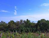 Panorámás terület - eladó MEZŐGAZDASÁGI TERÜLET BALATONFÜREDEN