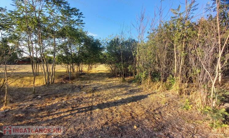 Eladó 2238 m²-es, megosztható belterületi telek Jászkiséren, bontandó házzal