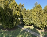 Eladó családi ház Abony 18 000 000 Ft