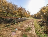 Eladó családi ház Bogád 145 000 000 Ft