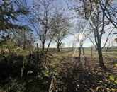 Eladó családi ház Érsekvadkert 7 000 000 Ft