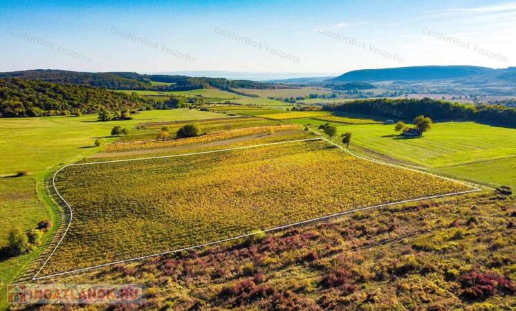 Eladó örök panorámás terület Óbudaváron! 2,3ha!