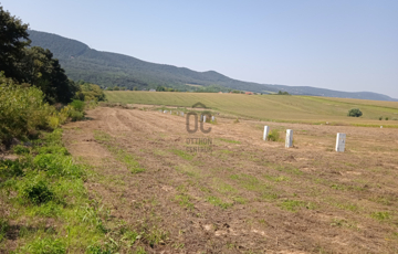 Eladó telek/földterület