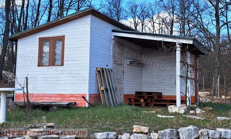 Panorámás, építhető, erdőben-eladó MEZŐGAZDASÁGI TERÜLET VÁSZOLYBAN                                 