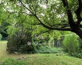 Eladó üdülő/nyaraló Solymár 69 900 000 Ft