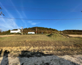 Eladó telek/földterület Szomor 35 900 000 Ft