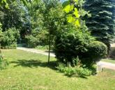 Eladó kivételes adottságú családi ház Balatonfűzfőn!