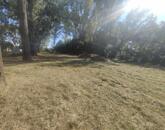 Oroszlány ipari park közelében ELADÓ 10125 nm terület