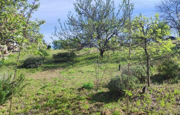 Eladó telek/földterület