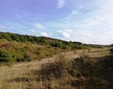 Zártkert eladó, BALATONALMÁDI