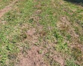 Eladó telek/földterület Csörötnek 7 000 000 Ft