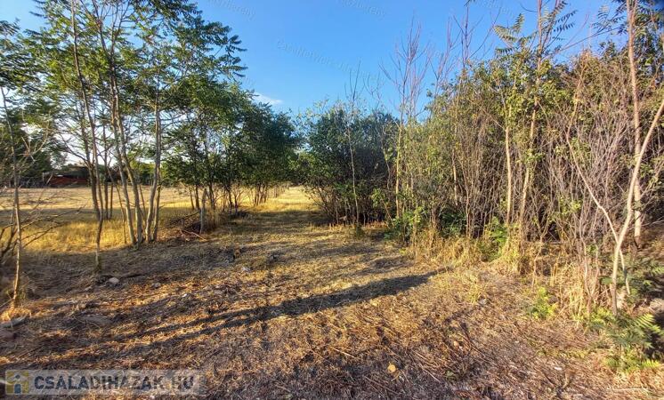 Eladó 2238 m²-es, megosztható belterületi telek Jászkiséren, bontandó házzal                                 