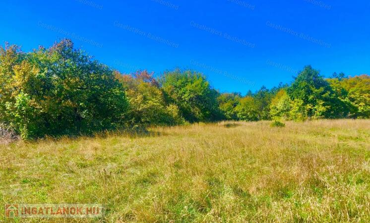 Érintetlen természeti környezetben mezőgazdasági terület eladó