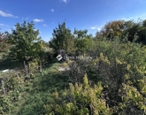 Eladó családi ház Kökény 14 900 000 Ft