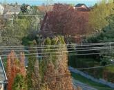 Eladó kertkapcsolatos első emeleti lakás Alsóörsön