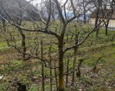 Eladó üdülő/nyaraló Zalaszentlászló 45 000 000 Ft