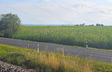 Eladó telek/földterület