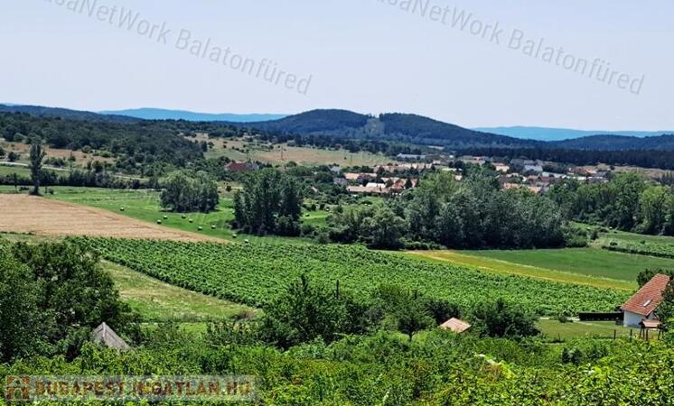 Örök tájpanorámás - eladó MEZŐGAZDASÁGI TERÜLET PÉCSELYEN                                 