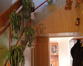 Eladó családi ház Hosszúpályi 45 000 000 Ft