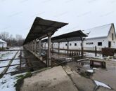 Eladó ipari ingatlan Hódmezővásárhely 70 000 000 Ft