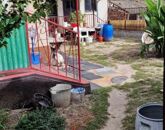 Eladó családi ház Táborfalva 36 500 000 Ft