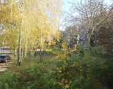 Kiadó lakás Debrecen 250 000 Ft