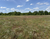 Eladó telek/földterület Debrecen 17 900 000 Ft