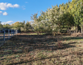 Eladó telek/földterület Monorierdő 7 900 000 Ft