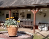 Eladó családi ház Táborfalva 79 900 000 Ft