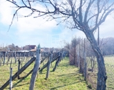 Eladó telek/földterület Felsőörs 60 000 000 Ft