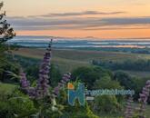 Eladó családi ház Zalaszabar 117 000 000 Ft