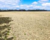 Eladó kiváló elhelyezkedésű szántó