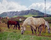 Eladó panzió Dédestapolcsány 125 000 000 Ft